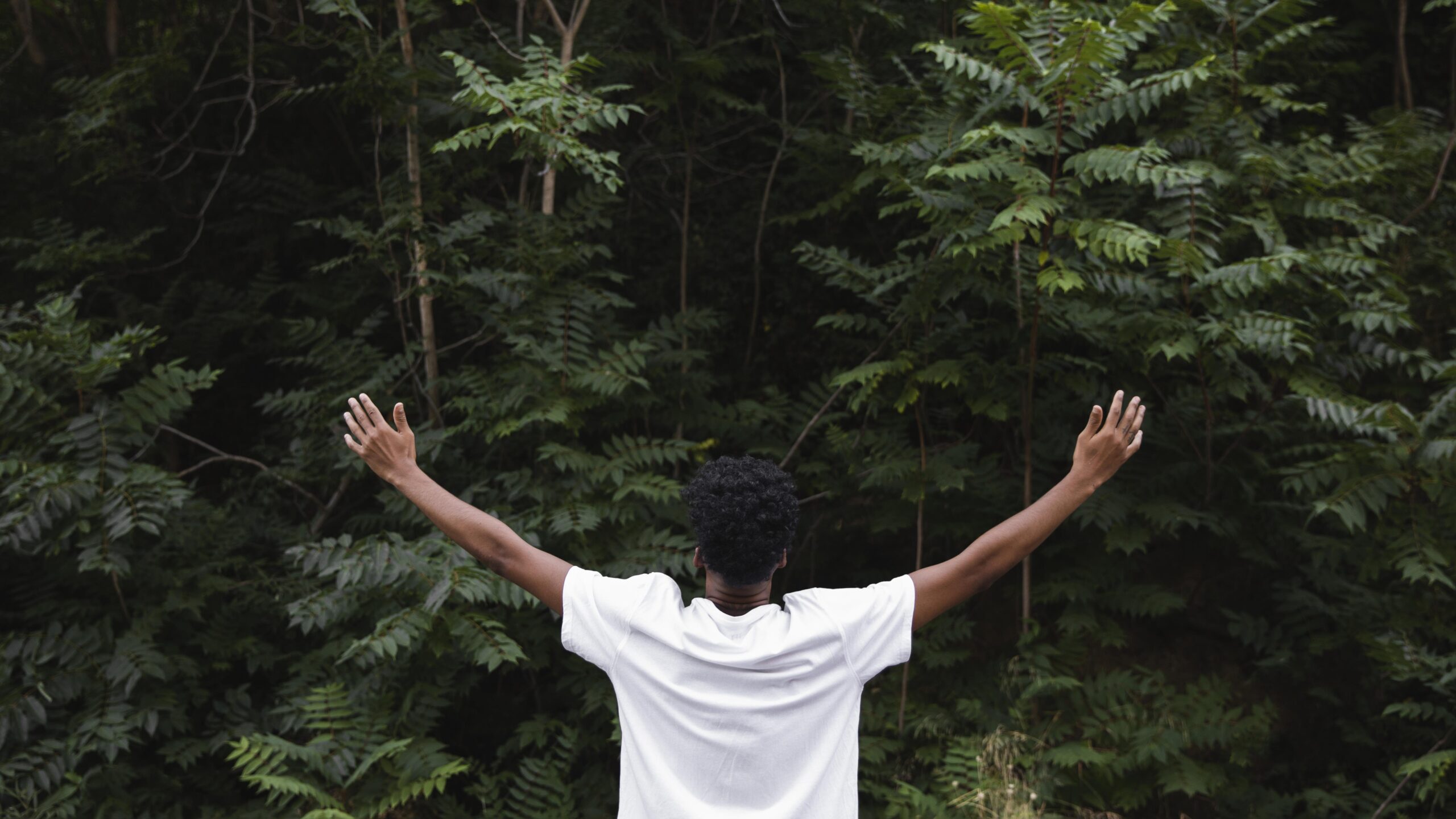 Como a Natureza Pode Restaurar Sua Mente e Melhorar Sua Saúde